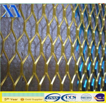 China Factory Low Price Expanded Metal Mesh (XA-EM004)